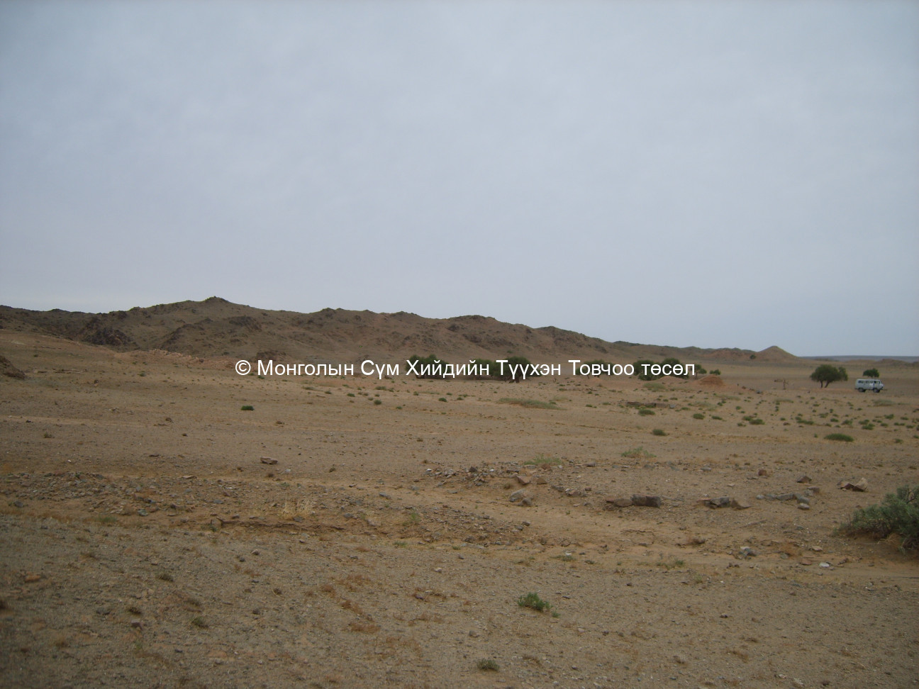 Баруун талаас авсан